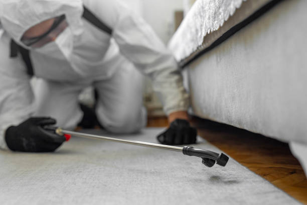Professional Ant Control technician working in Manor, TX